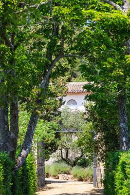 Chemin ombragé menant vers une des grilles du château