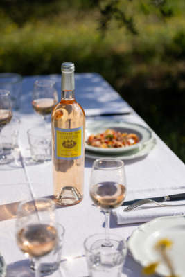 ROSÉ - Château des Sarrins - AOC Côtes de Provence